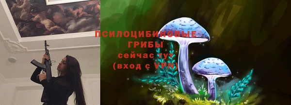 спиды Кукмор