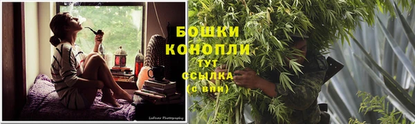 спиды Кукмор