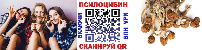 Купить где  Сретенск  Псилоцибиновые грибы MAGIC MUSHROOMS 
